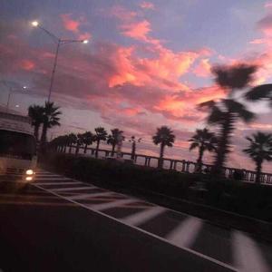 国产🔞在线观看免费视频动漫
