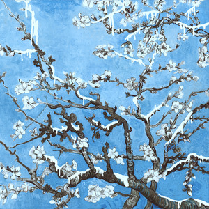 放A片沟引老头老头恋老白毛老头
