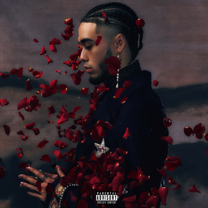 日本区一区二视频
