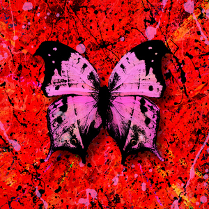 男男做爱视频又大又湿
